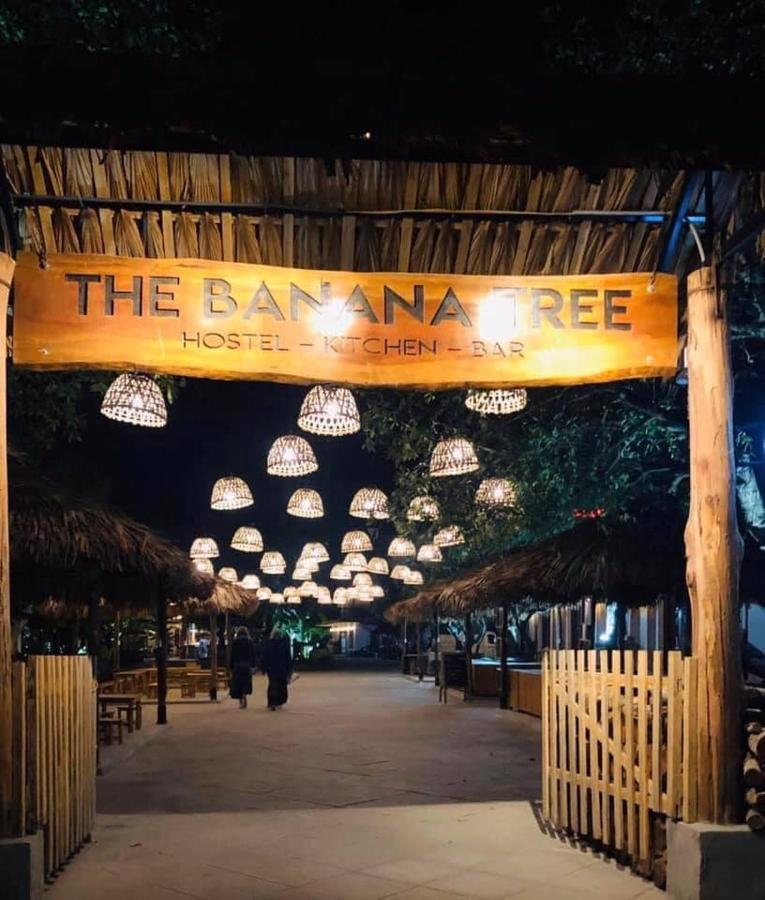 The Banana Tree Hostel ニンビン エクステリア 写真