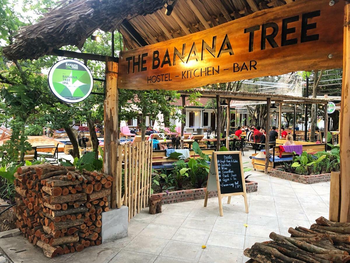 The Banana Tree Hostel ニンビン エクステリア 写真